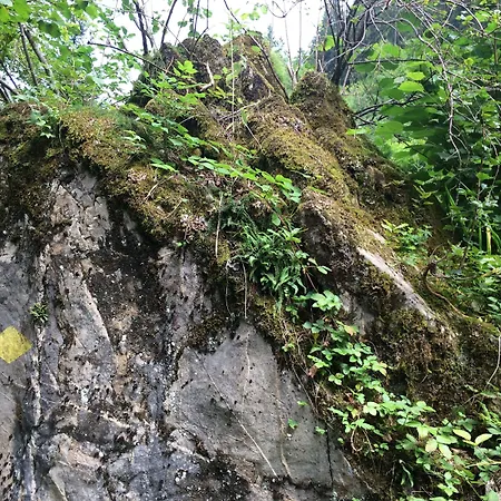 Bellevue-terminus - Urban Lifestyle Hotel