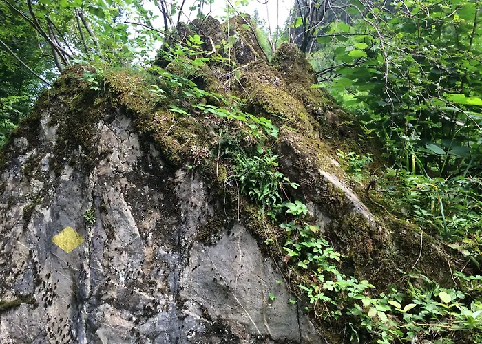 Bellevue-terminus - Urban Lifestyle Hotel