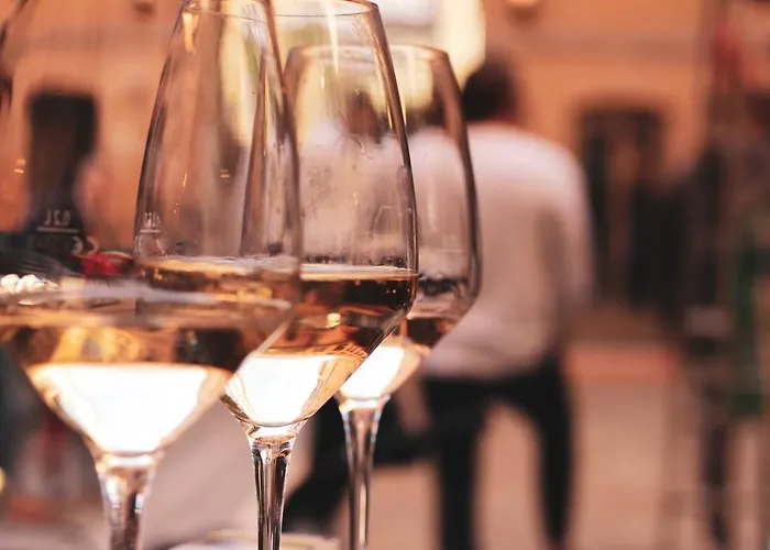 فندق Bellevue-terminus - Urban Lifestyle